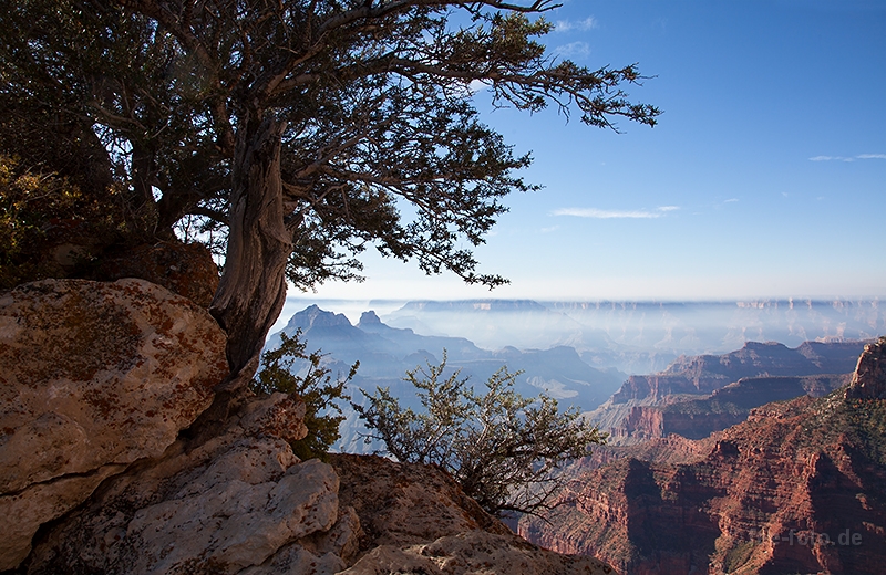 Auf dem Weg zum Bright Angel Point